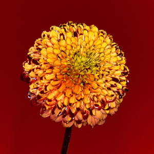 适合变态男看的视频网站
